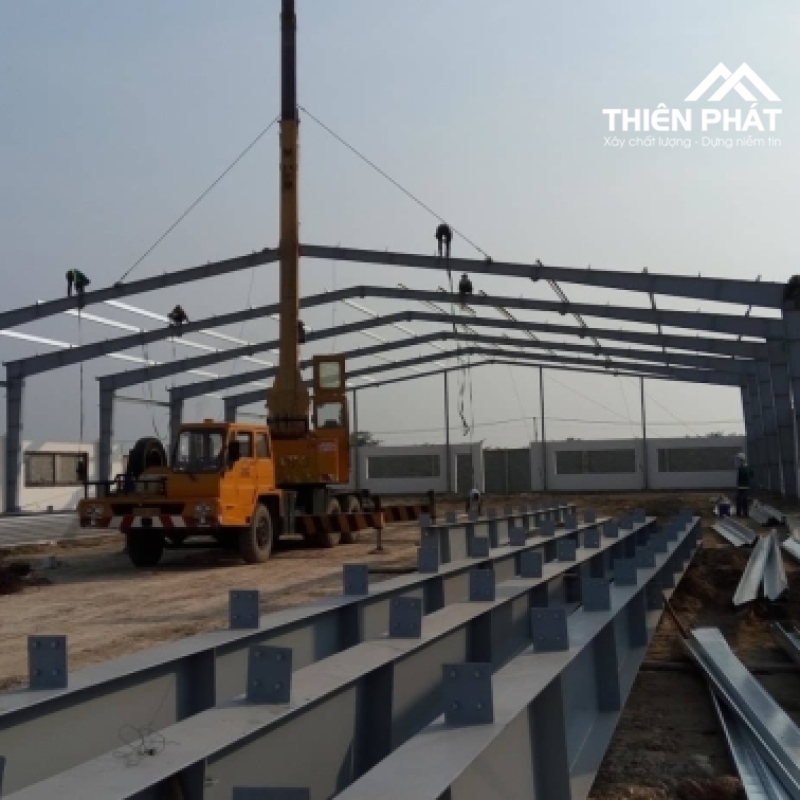 TP-NX MẪU 10