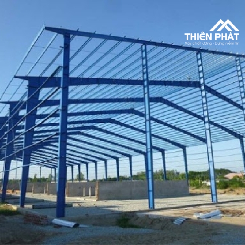 TP-NX MẪU 09