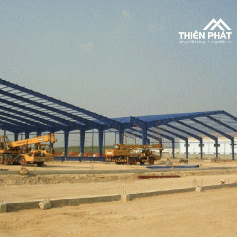 TP-NX MẪU 15